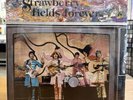 The Beatles - Strawberry Fields Forever LP   RARE SEALED UK Import NEMS Clue9