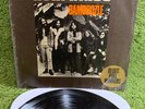 LIVIN' BLUES BAMBOOZLE   1972 GERMANY press   Philips hard stoner blues psych