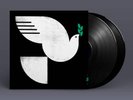 John Patitucci - Spirit Fall NEW Vinyl