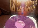 EDWARD SHARPE MAGNETIC ZEROS Blue LpUp From Below Newbury Comics Limited NM