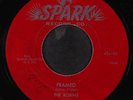 ROBINS : framed / loop de loop mambo SPARK 7