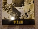 Nirvana Bleach Blue Vinyl Lp Album Yellow Sleeve
