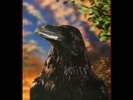 The Stranglers - The Raven (VINYL)
