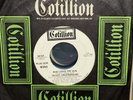 *HEAR* NM  Velvet Underground “Who Loves The Sun” Cotillion MONO/STEREO 45 promo