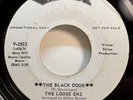 Garage Psych 45 THE LOOSE ENZ the Black Door Easy Rider Virtue PROMO VG++ HEAR