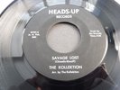 The Kollektion – Savage Lost 1967 USA 45 HEADS UP GARAGE PSYCH HEAR IT