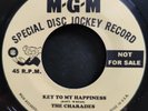 The Charades / Carol & Gerri - Key To My Happiness / On You Heartache Looks Good
