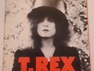 T Rex - The Slider Vinly LP 1972