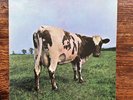 LP - PINK FLOYD:   
