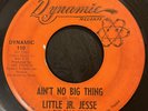 LITTLE JR JESSE Ain't No Big Thing 45 on Dynamic Texas chicano soul funk
