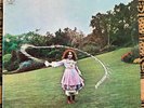 Trees On The Shore vinyl LP  LIK12