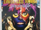 David Lee Roth - Sonrisa Salvaje Lp Warner Bros Promo Spanish Version