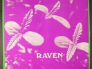 RAVEN: back to ohio blues ROCKADELIC 12
