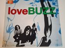 Vintage LP Record - The Hummingbirds - Love Buzz - 1989 Polygram Records +poster
