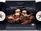 Limp Bizkit - Chocolate Starfish And The Hot Dog Flavored Water 2LP 2000 US ORIG