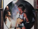 Wendy O. Williams - WOW - UK PICTURE DISC 1984 Music For Nations, VG/VG+