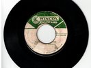 #135 RARE REGGAE SKA 1965 WINCO LABEL THE MIGHTY VIKINGS 