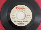 Garage Fuzz 45 - We The People - You Burn Me Up And Down - Challenge Promo VG+