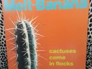 MELT BANANA LP CACTUSES COME IN FLOCKS PUNK NOISE RARE 1ST PRESSING MR BUNGLE