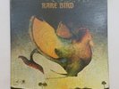 RARE BIRD s/t CPLP4514 A ILT Probe LP Vinyl VG++ Cover VG+ GF 1970