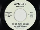 Beach Boys 45 - Hale & the Hushabyes - Yes Sir, That's My Baby - Apogee