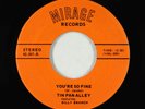 Blues Rocker 45 - Tin Pan Alley - You're So Fine - Mirage - VG++ obscure
