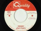 Garage Fuzz 45 - Meddy's People - Hideaway - Quality Canada