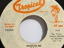 Cumbia moderna de soledad-shacalao-niña niña-afro funk-cumbia-promo colombia