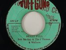 Bob Marley & The I Threes & Wailers 