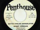 Garage Psych 45 - Bobby Jameson - Gotta' Find My Roogalator - Penthouse - Zappa
