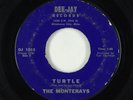 Surf Inst. 45 - Monterays - Turtle/Party - Dee Jay