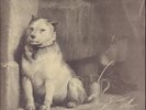 Pavlov´s Dog Pampered Menial GATEFOLD NEAR MINT CBS Vinyl LP