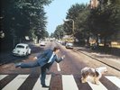 SEALED ORIGINAL 1993 UK 2 VINLY LP Paul McCartney ‎Paul Is Live (Beatles)