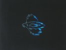 CYBOTRON - Parallel Shift - Vinyl (12
