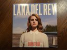 Lana Del Rey - Born To Die - 12