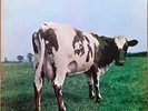 Rock LP - PINK FLOYD - ATOM HEART MOTHER - Harvest / Hörzu GER 1970 - EX(+)