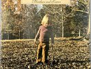 The Allman Brothers Band Brothers And Sisters Vinyl Record Album Capricorn 1973