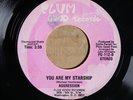 Aggression - Your Are My Starship - PLUMB GOOD 112 VG+ SOUL