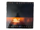 VAN MORRISON Avalon Sunset LP Vinyl MERCURY Records 1989 Rare