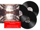 Edward Sharpe & The Magnetic Zeros | Live In No Particular Order Vinyl | DAMAGED
