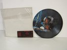 Ozzy Osbourne Diary Of A Madman RARE Promo Picture Disc Metal LP