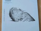The Scientist - Coldplay 7
