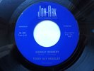 TERRY RAY BRADLEY 45 HIGHWAY ROBBERY USA JON-ARK  TOUGH 1964 ROCKABILLY STROLLER