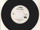 Lou Bega – Mambo No. 5 A Little Bit Of  / Havanna club mix  45RPM RARE version