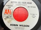 Northern Soul Robin Wilson  Better Use Your Head 7'' 45 single Demo VG+