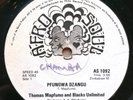 Thomas Mapfumo & Blacks Unlimited - Pfungwa Dzangu - Zimbabwe KILLER Afro 45