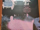 Ariel Pink - Dedicated To Bobby Jameson LP (Blue Vinyl) *New*