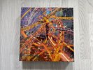 Macross Plus - Sharon Apple Deluxe Edition 7x 12