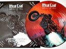 NM/NM MEATLOAF BAT OUT OF HELL 12