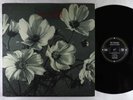 Spinanes - Arches & Aisles LP - Sub Pop VG+
